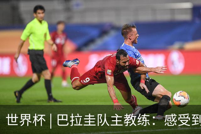世界杯 | 巴拉圭队主教练：感受到比赛的极致压力