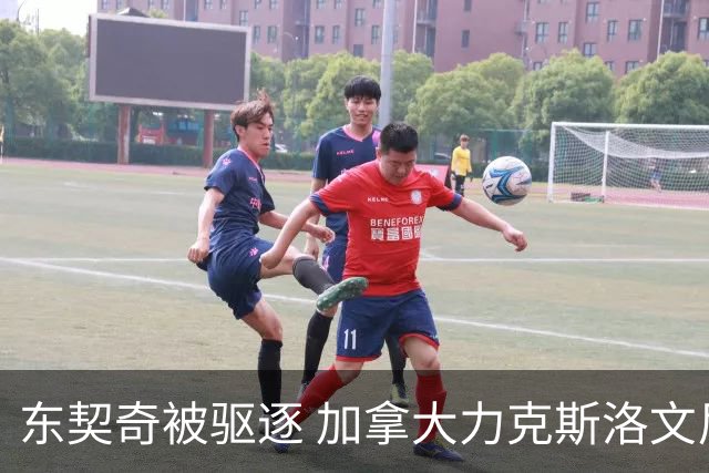 东契奇被驱逐 加拿大力克斯洛文尼亚晋级四强