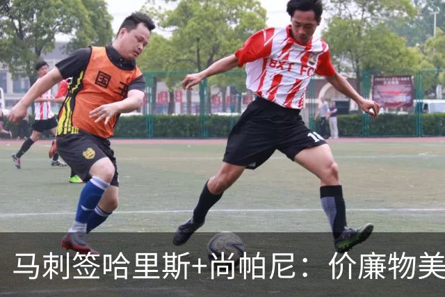 马刺签哈里斯+尚帕尼：价廉物美